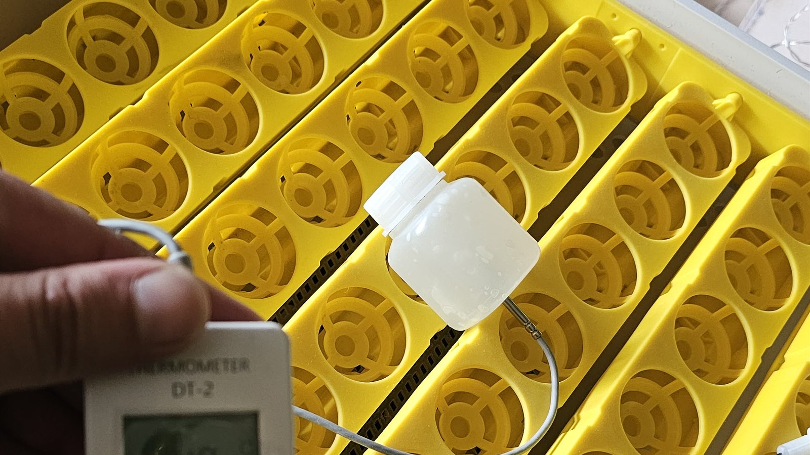 Incubator temperature probe set at egg height